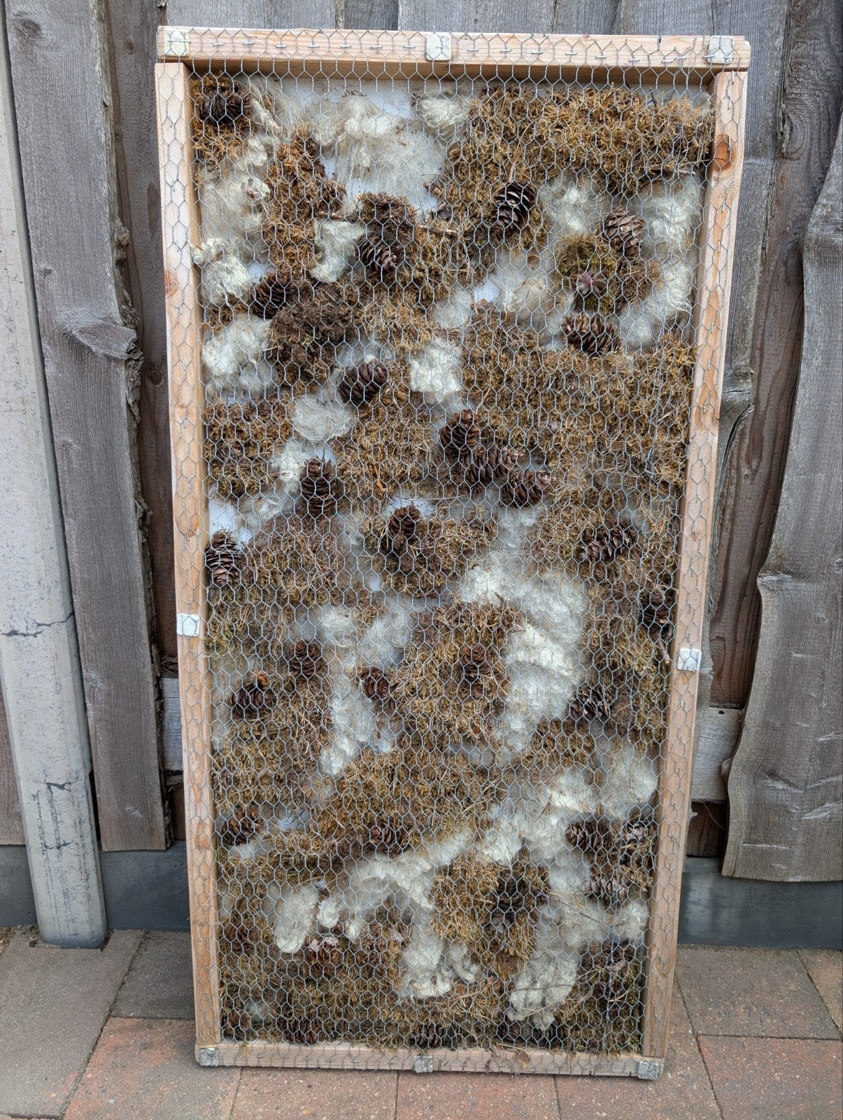project voor bv vetplantjes of insectenhotel, Ophalen of Verzenden