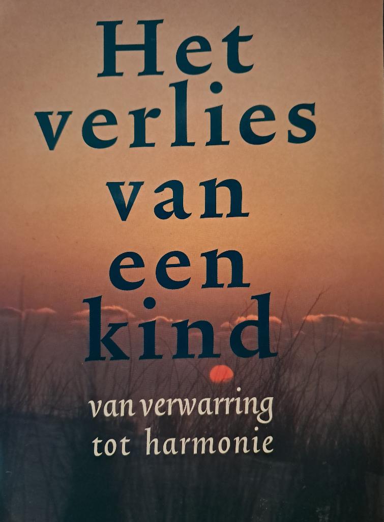 Het verlies van een kind, Juliet Cassuto Rothman, Ophalen of Verzenden, Zo goed als nieuw, Juliet Cassuto Rothman, Overige onderwerpen