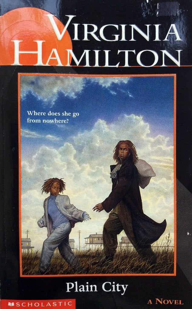 Virginia Hamilton - Plain City (ENGELSTALIG), Boeken, Ophalen of Verzenden, Gelezen, Fictie