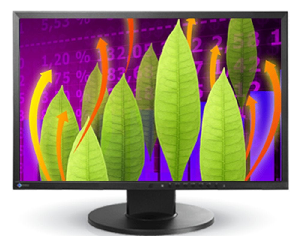 Eizo FlexScan EcoView EV2216W 22" LCD Monitor - Zwart, Computers en Software, Ophalen, In hoogte verstelbaar, DisplayPort, Zo goed als nieuw