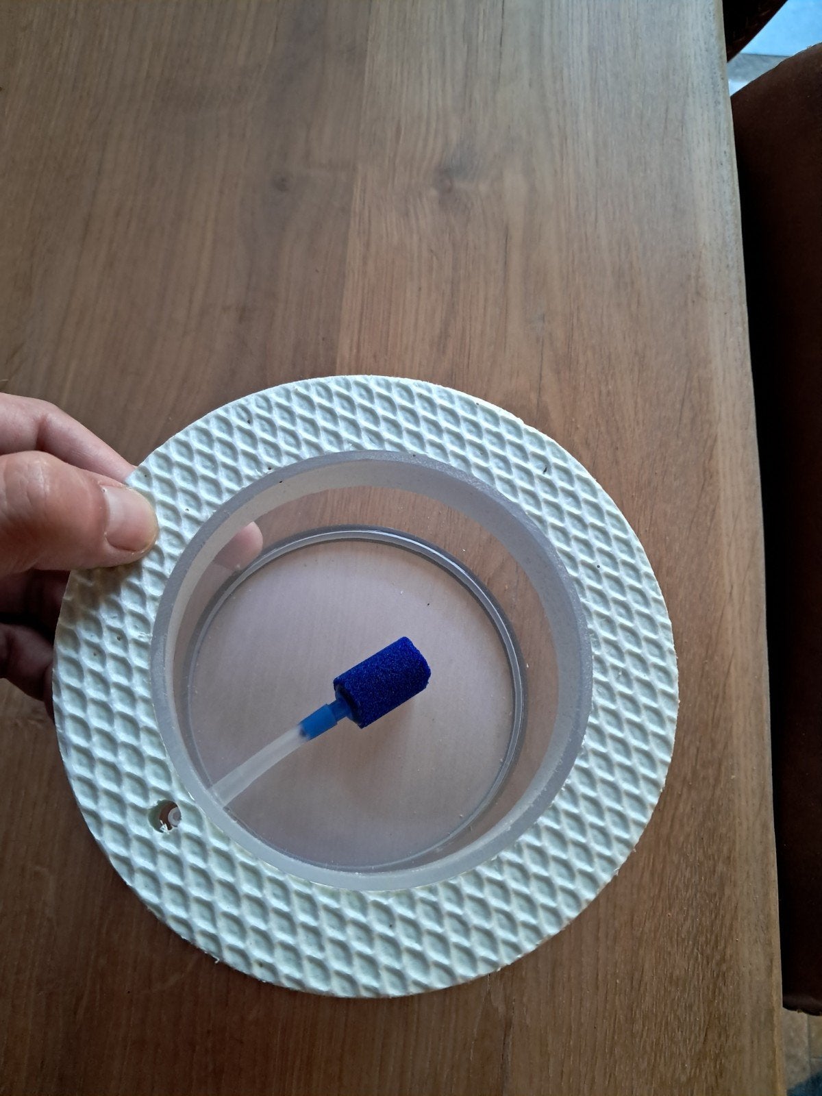 Kweekring met luchtsteen, Ophalen of Verzenden