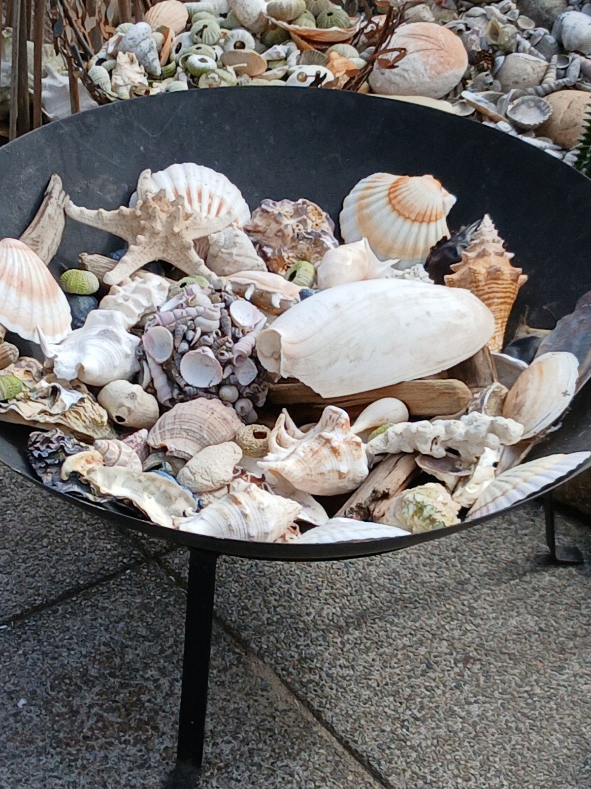 Grote vuurschaal op poten diam59cm vol met schelpen., Tuin en Terras, Ophalen