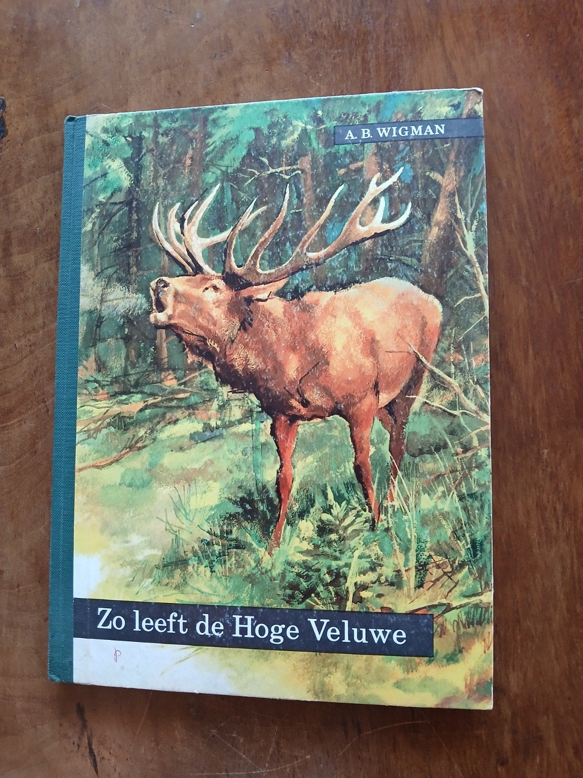 WD015  leeft de Hoge Veluwe - A.B. Wigman (1960), Boeken, Ophalen of Verzenden, Gelezen, Natuur algemeen, A.B. Wigman