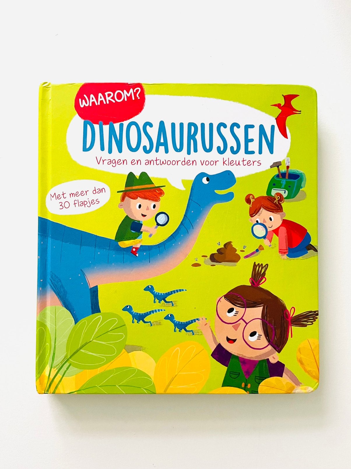 Waarom? Dinosaurussen - boek dino’s ISBN: 9789464224146, Boeken, Kinderboeken | Baby's en Peuters, Ophalen of Verzenden, Zo goed als nieuw