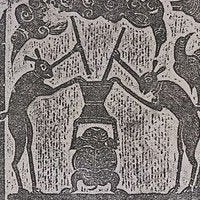 Levenselixer / Elixer of life, Diensten en Vakmensen, Alternatieve geneeskunde en Spiritualiteit, Komt aan huis, Magnetisering