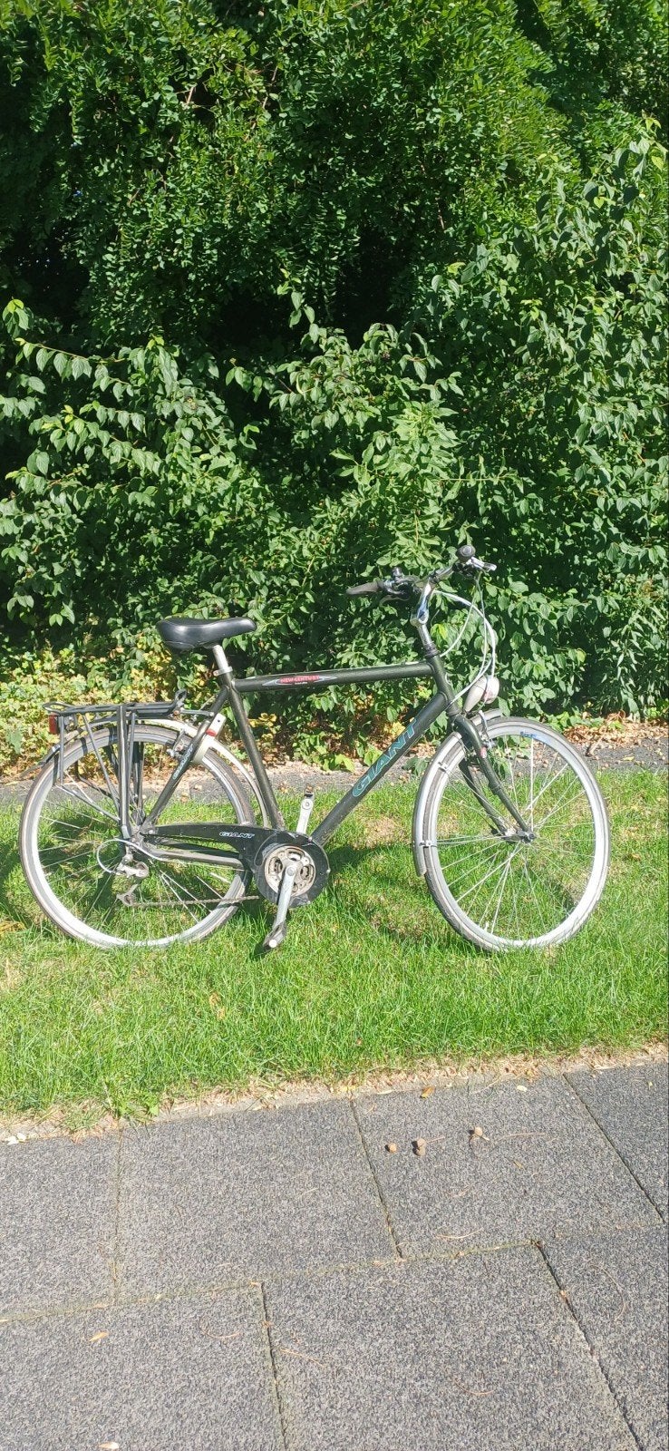 Giant herenfiets limited Edition, Ophalen, Gebruikt, Velgrem, Versnellingen
