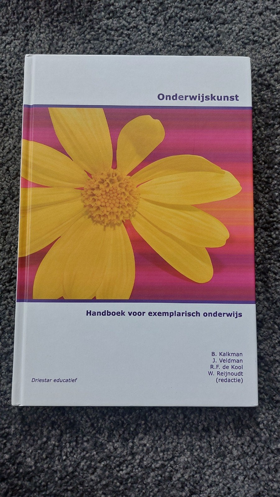 Studieboek Driestar Hogeschool - Onderwijskunst, Boeken, Ophalen of Verzenden, Zo goed als nieuw, HBO, B. Kalkman, I. Veldman, R.F. de Kool, W. Reijnhoudt (redactie)