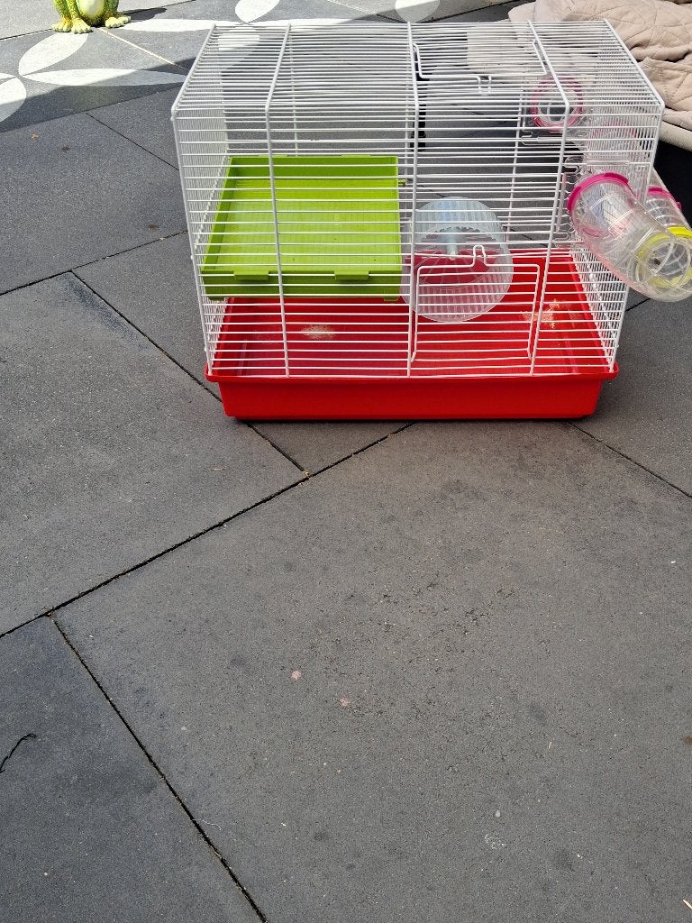 Te koop dwerghamster kooi, Kooi, Gebruikt, Minder dan 75 cm, Hamster