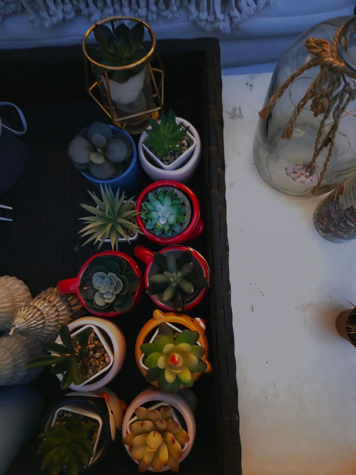 Mooie vetplantjes in pot, Ophalen of Verzenden, Overige soorten, Volle zon