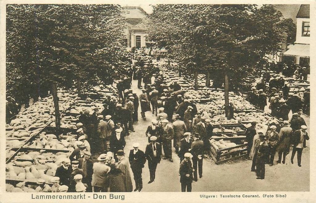 388-559-015 Den Burg Lammerenmarkt, Verzenden, Voor 1920, Noord-Holland