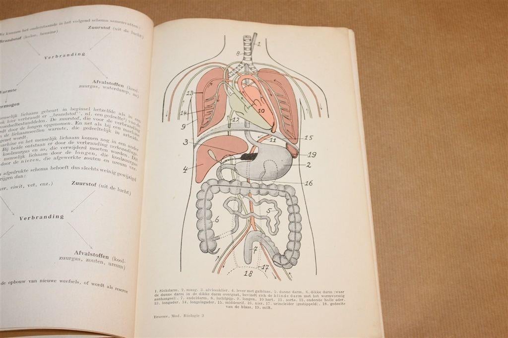 Moderne Biologie ULO 3 Menskunde — Vintage Schoolboek 1960, Boeken, Ophalen of Verzenden, Gelezen, Overige niveaus, Biologie