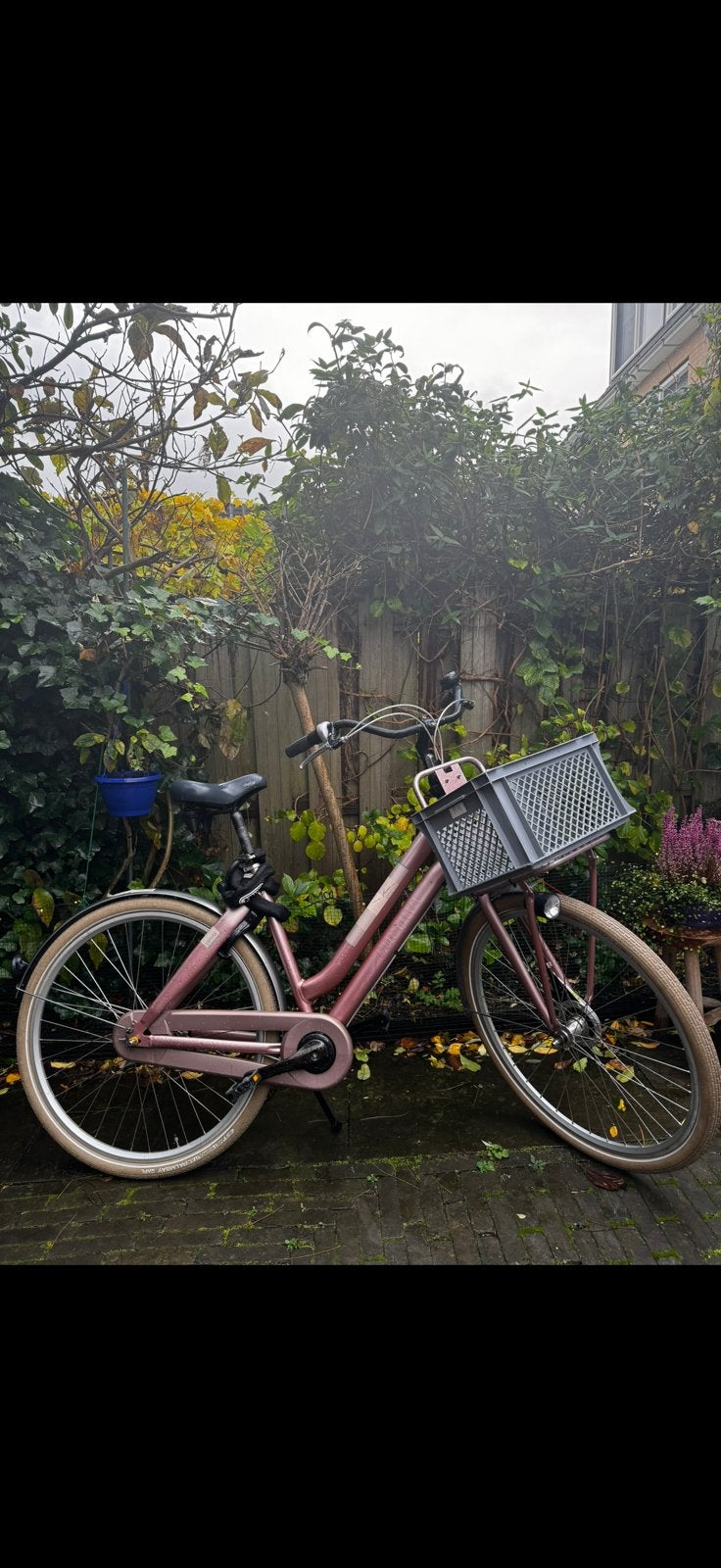 Cortina Crush damesfiets – 28 inch – met krat - rosé, Fietsen en Brommers, Fietsen | Dames | Damesfietsen, Versnellingen, Ophalen