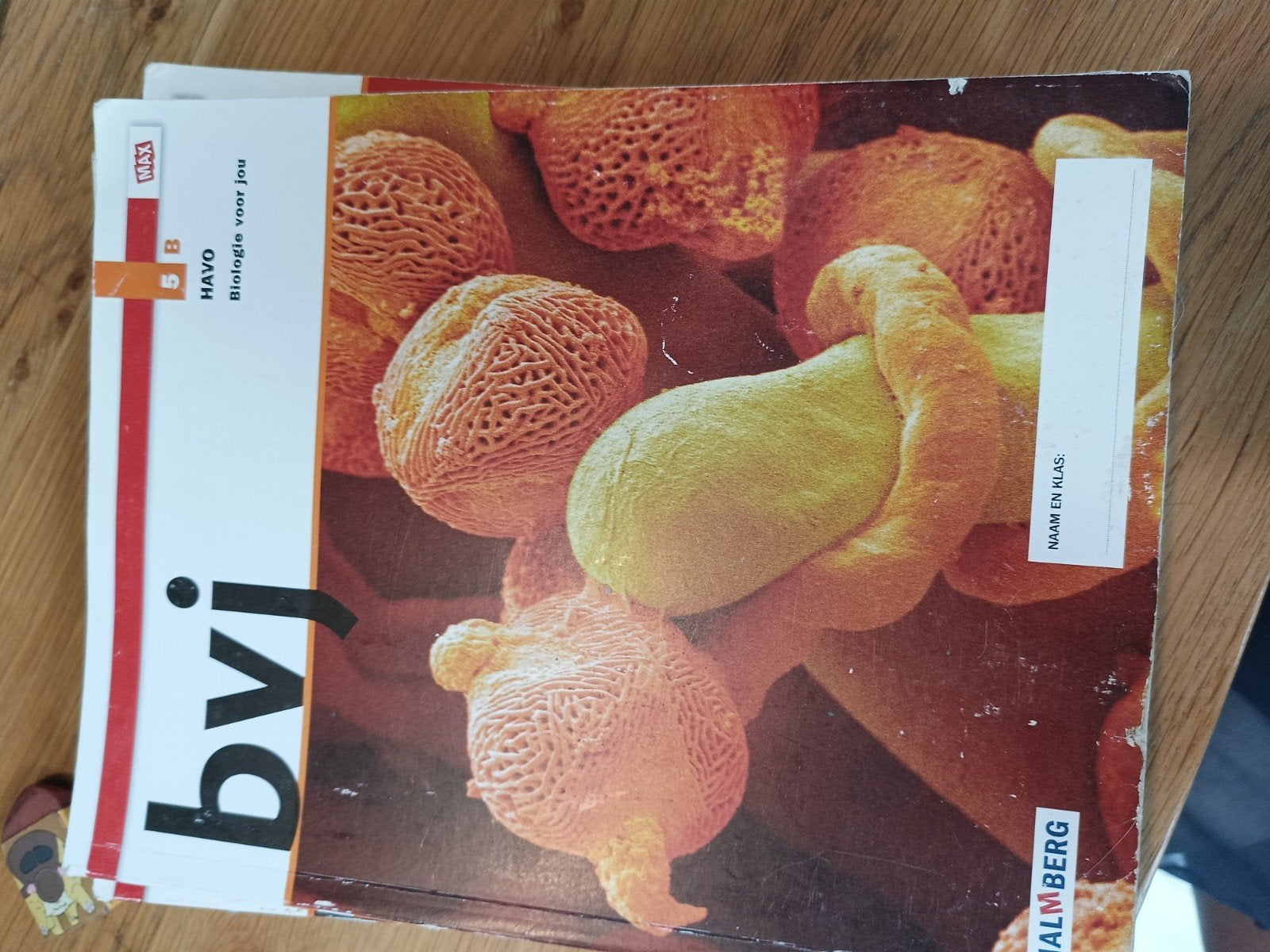 BVI Biologie voor jou HAVO 4A, 4B, 5A, 5B (set of los), Gelezen, Malmberg, Niet van toepassing, Ophalen of Verzenden