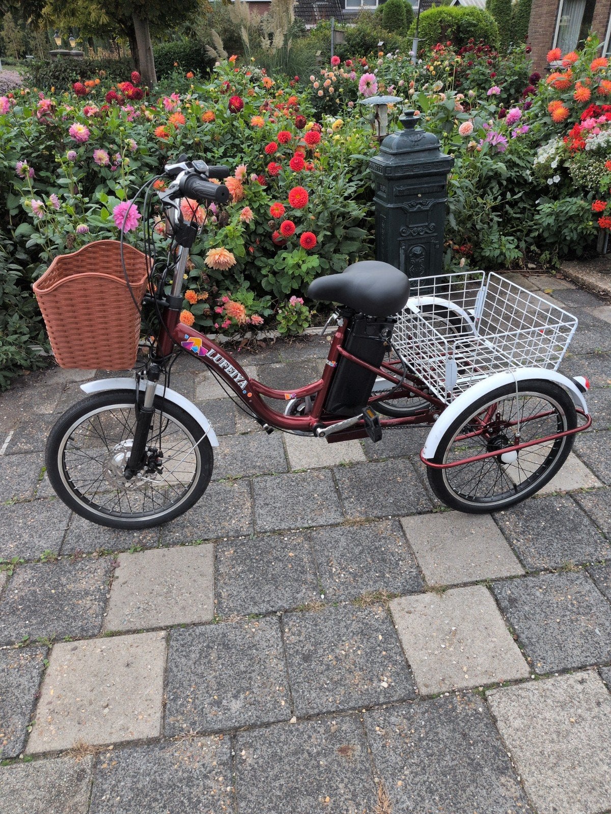 Lufengya nieuwe elektrische driewieler met manden, Ophalen, Nieuw, Schijfrem, Lufengya