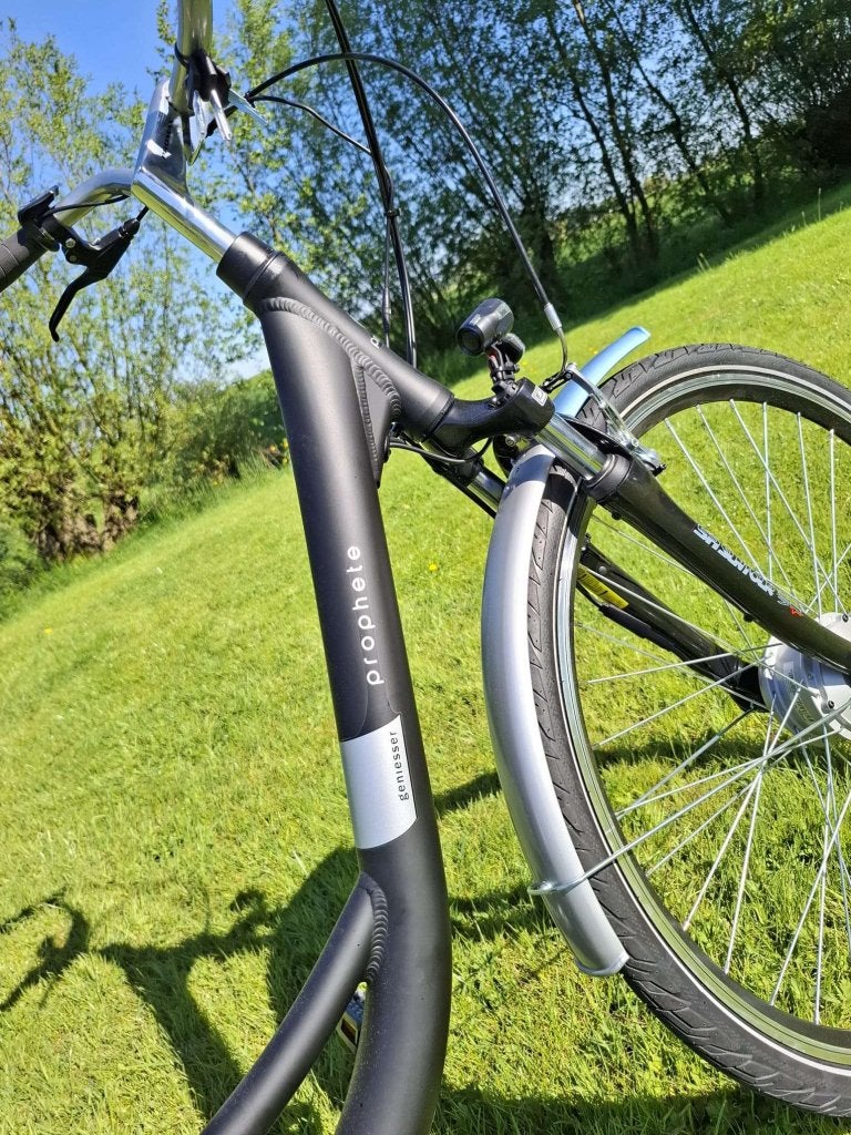 Fietshokje Houtplein: Prophete Elektrische Damesfiets- NIEUW, Fietsen en Brommers, Elektrische fietsen, Niet ingevuld, Nieuw, Ophalen of Verzenden