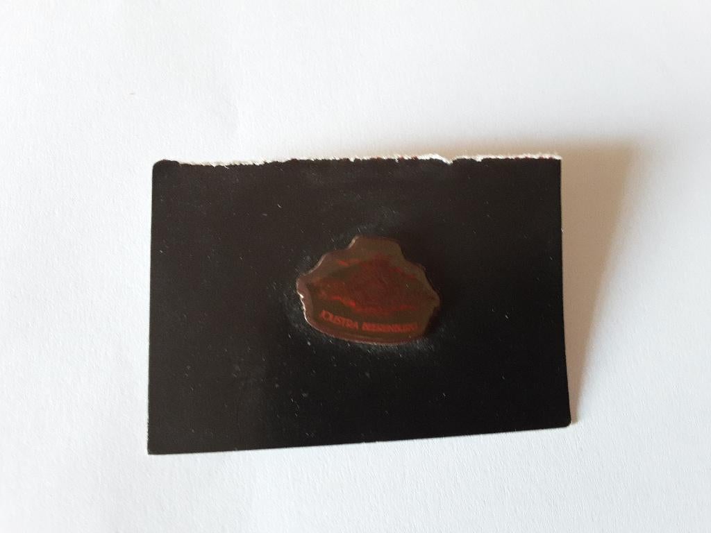JOUSTRA BEERENBURG pin, Verzamelen, Ophalen of Verzenden, Nieuw, Gebruiksvoorwerp