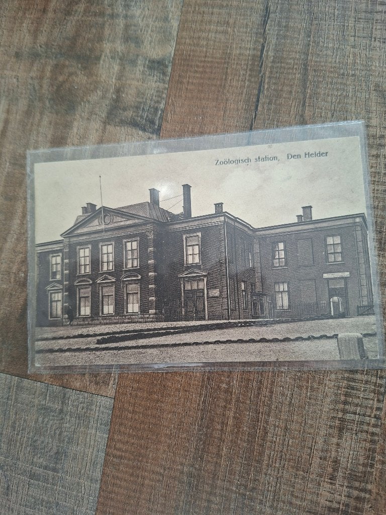 den helder, Ophalen of Verzenden, Voor 1920, Ongelopen, Noord-Holland