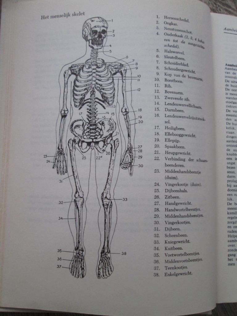 Boeken: gezondheid,verzorging,medisch,voeding [zie foto's]., Boeken, Ophalen of Verzenden, Zo goed als nieuw
