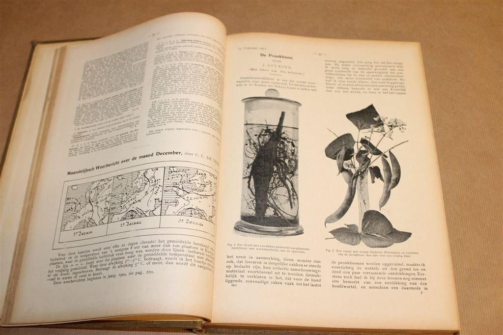De Natuur — Complete Jaargang 1911, Antiek en Kunst, Ophalen of Verzenden