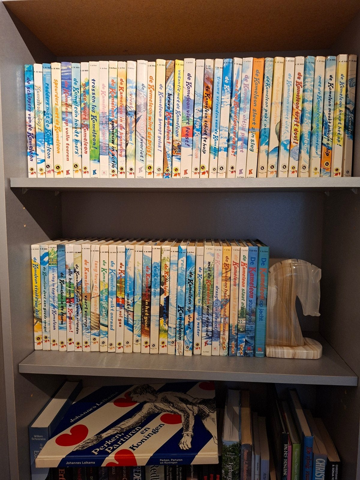 Complete Kameleon serie - 63 boeken, Boeken, Ophalen of Verzenden, Gelezen, Fictie algemeen