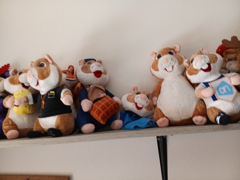 ah hamsters, Ophalen, Hamster, Zo goed als nieuw, Middelgroot (20 tot 80 cm)