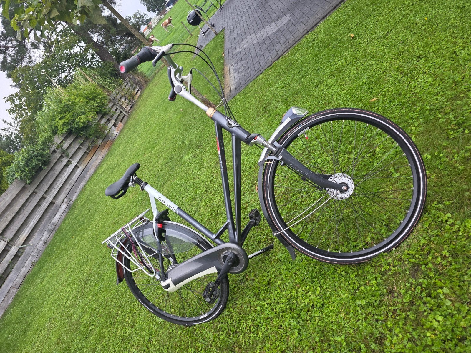 Foto 3 van Gazelle Eclipse Damesfiets - Comfortabel en Stijlvol