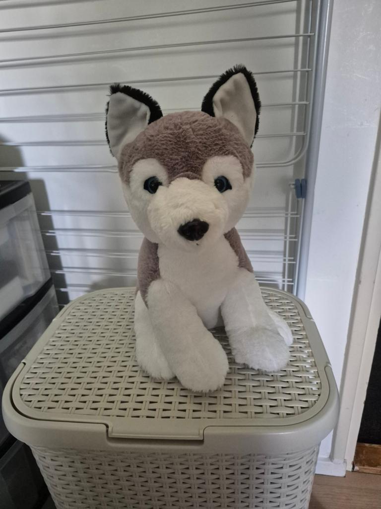 Sunkid husky knuffel, Ophalen of Verzenden, Zo goed als nieuw, Overige typen