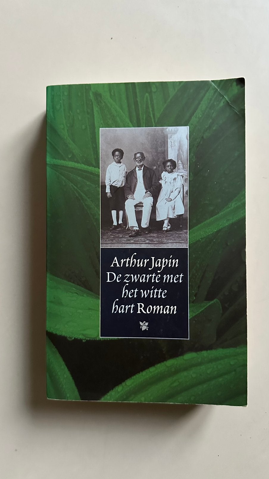 Arthur Japin - De zwarte met het witte hart, Ophalen of Verzenden, Gelezen, Arthur Japin