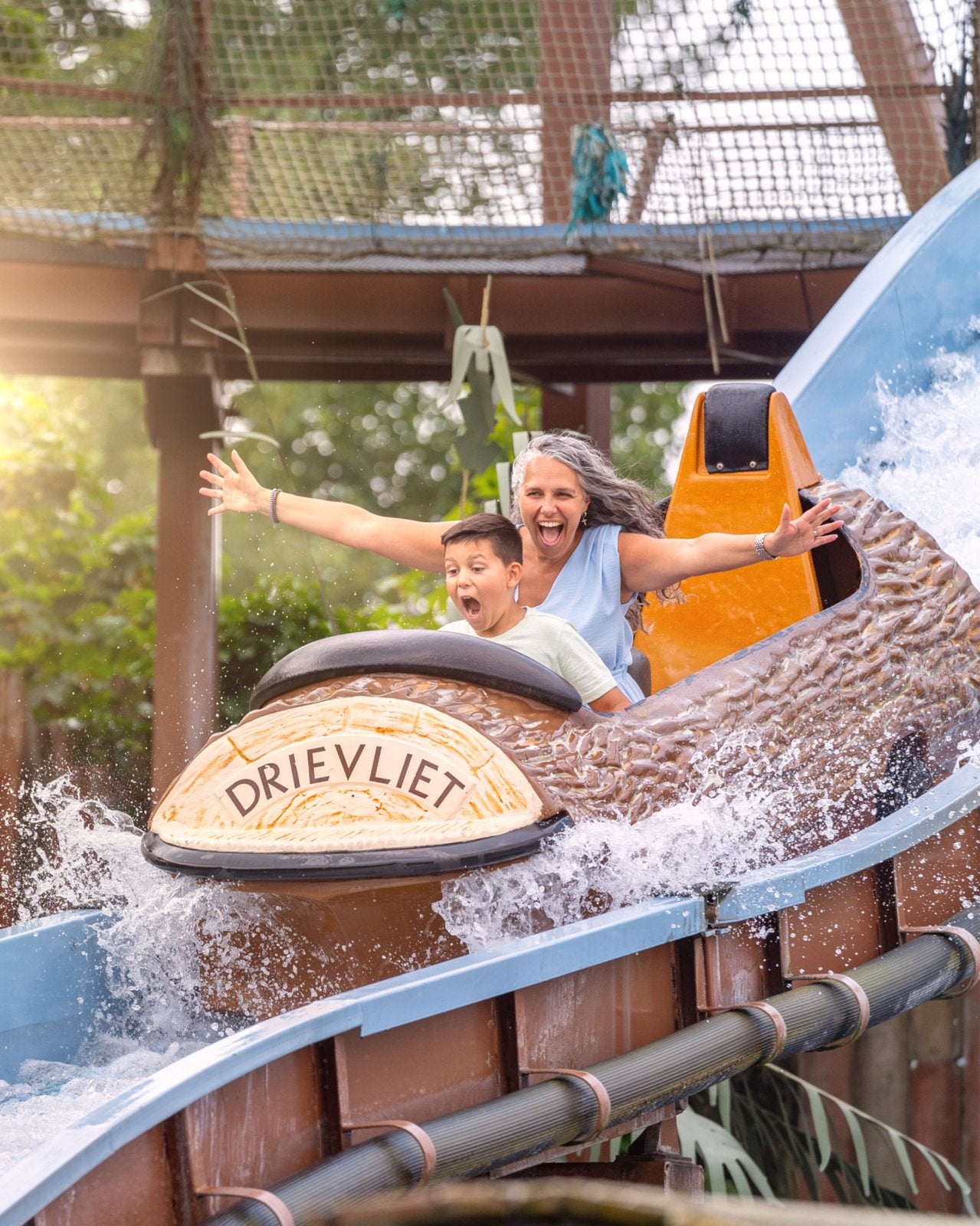 1 x entree ticket Drievliet!, Eén persoon, Ticket of Toegangskaart