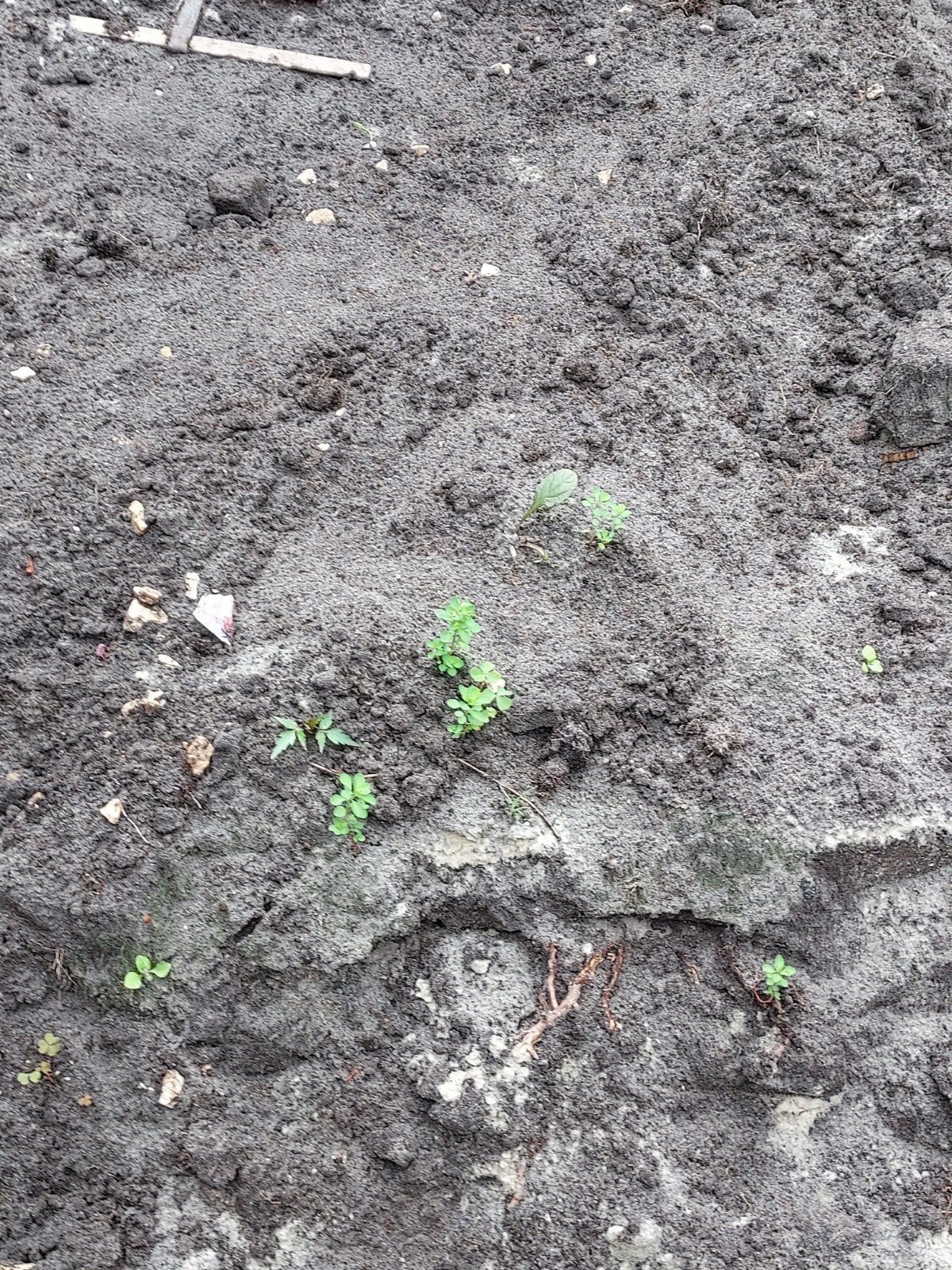 tuinaarde gratis, Ophalen, Tuinaarde