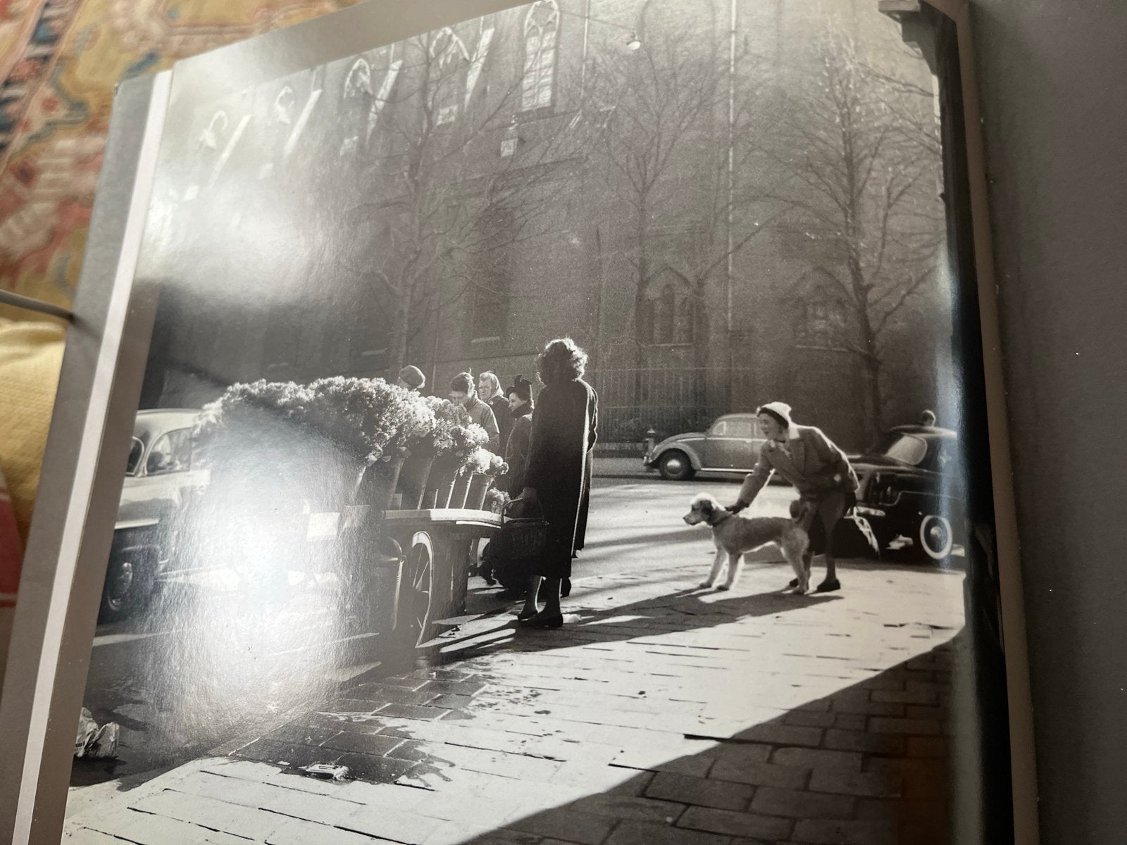 Het geheim van de Albert Cuyp - Jeugdherinneringen 1900-1940, Ophalen of Verzenden, 20e eeuw of later, Zo goed als nieuw