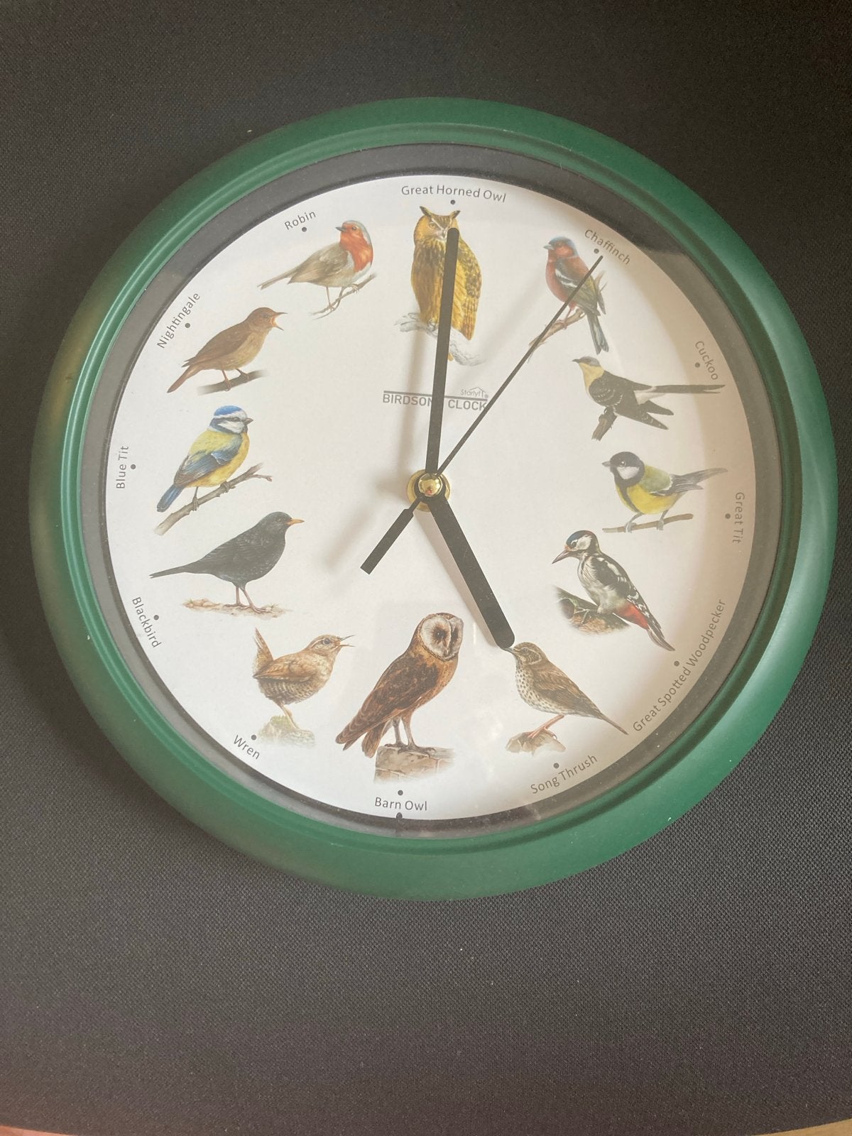 Birdsong Klok - Wandklok met vogelgeluiden, Ophalen of Verzenden, Gebruikt, Analoog, Wandklok