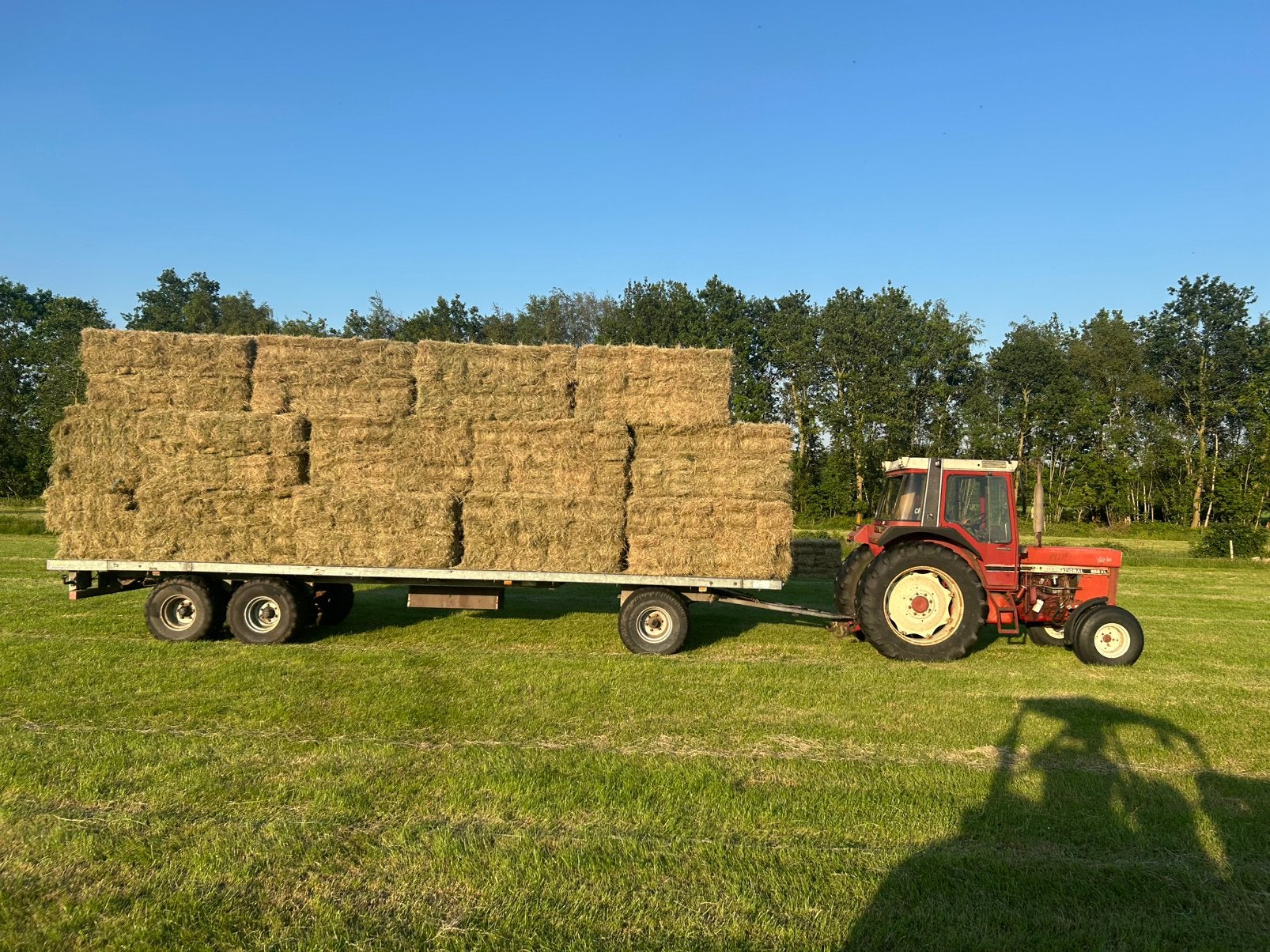 Hooibundels en losse pakken hooi 2e snee jacobskruidvrij, Ophalen, Vee