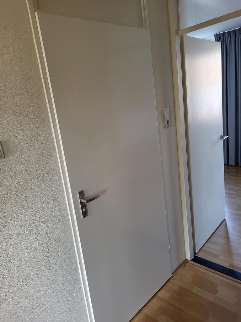 Opdekdeur 83x201.5 wc/douche deur rechts draaiend, Ophalen, Binnendeur, 200 tot 215 cm