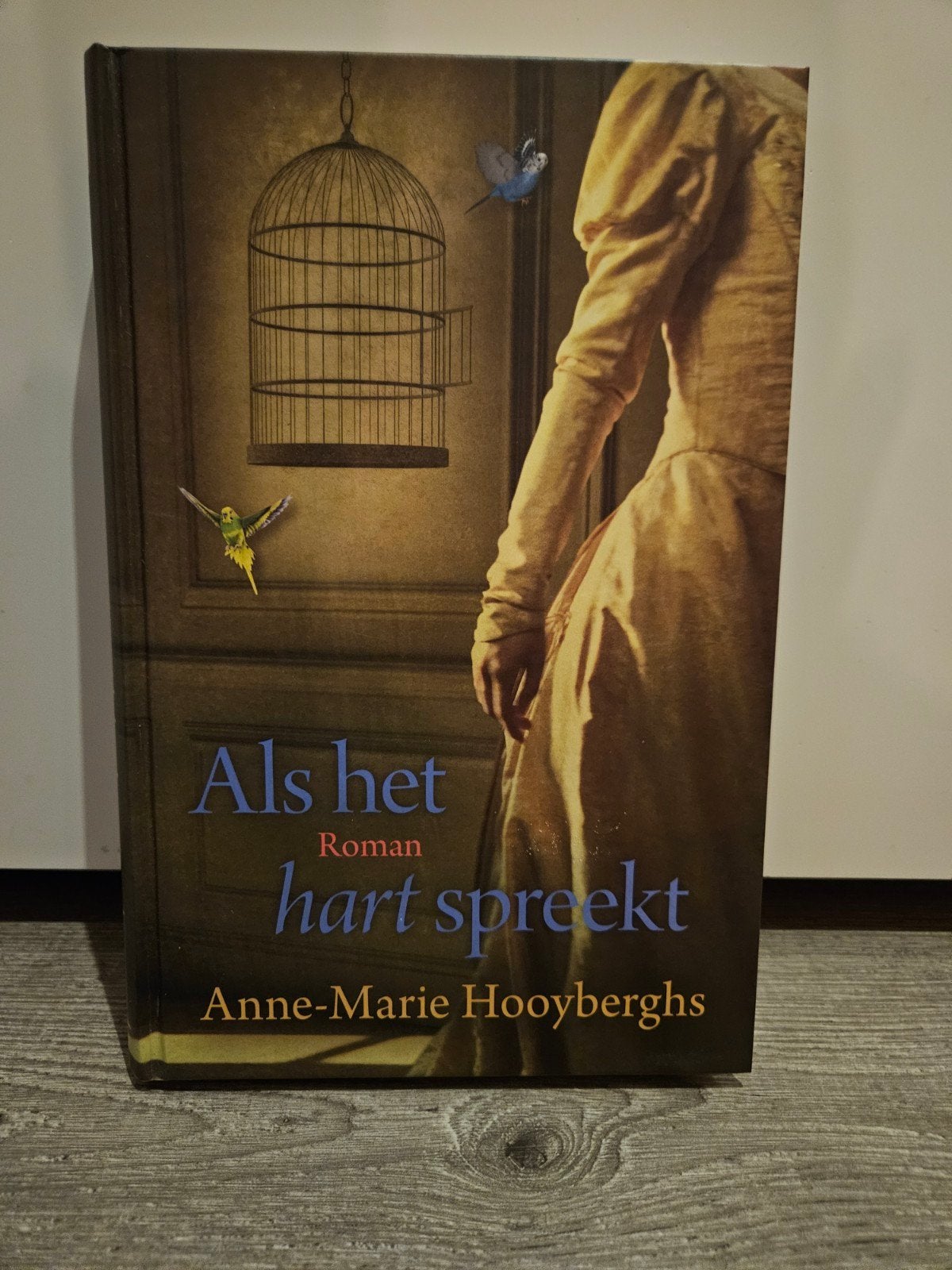 Anne-Marie Hooyberghs - Als het hart spreekt, Boeken, Ophalen of Verzenden, Zo goed als nieuw, Anne-Marie Hooyberghs