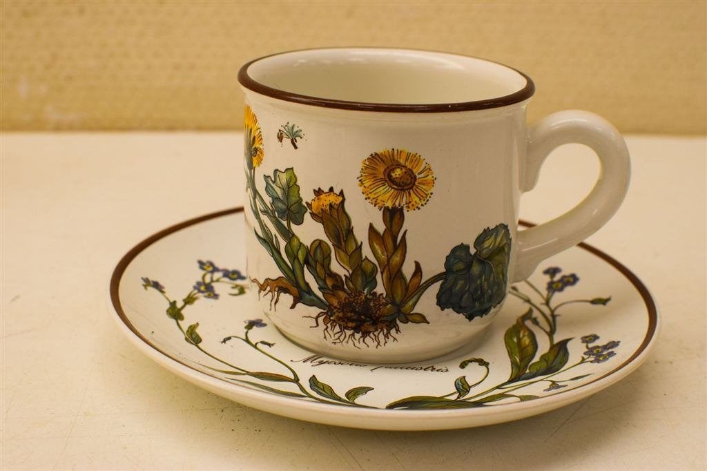 8 delig Villeroy & Boch porseleinen kop en schotel 50664, Gebruikt, Ophalen of Verzenden, Bord(en), Overige stijlen