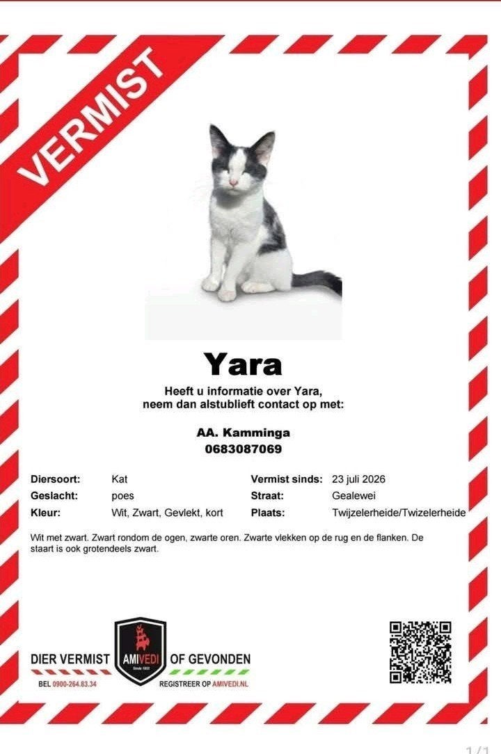 Vermist omgeving twijzelerheide, Kat