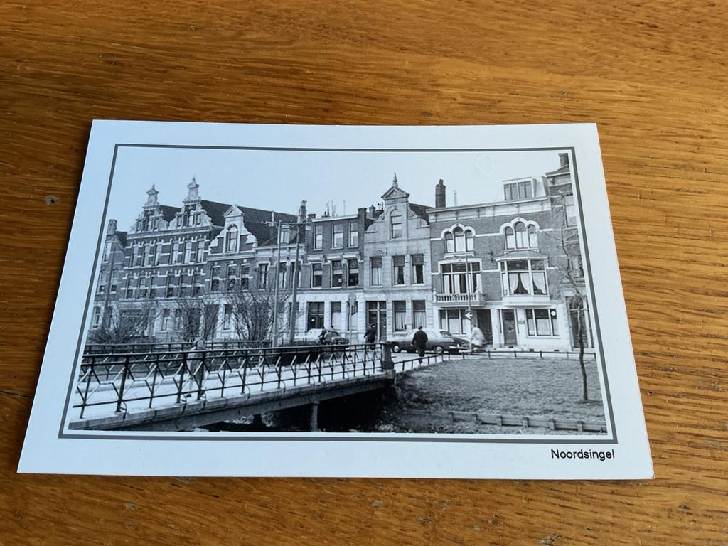 T136 Rotterdam Noordsingel REPRODUCTIE, Ophalen of Verzenden, Voor 1940, Zo goed als nieuw, Overige onderwerpen