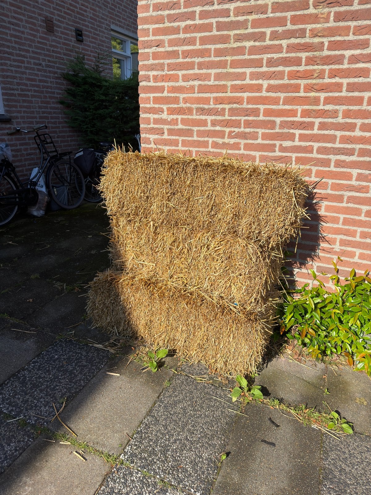 3 hooibalen gratis ophalen, Dieren en Toebehoren, Dierenvoeding, Ophalen, Vee