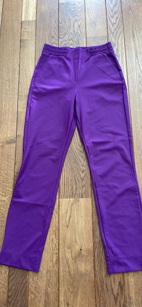 Studio anneloes paarse pantalon s, Ophalen of Verzenden, Zo goed als nieuw, Paars, Lang