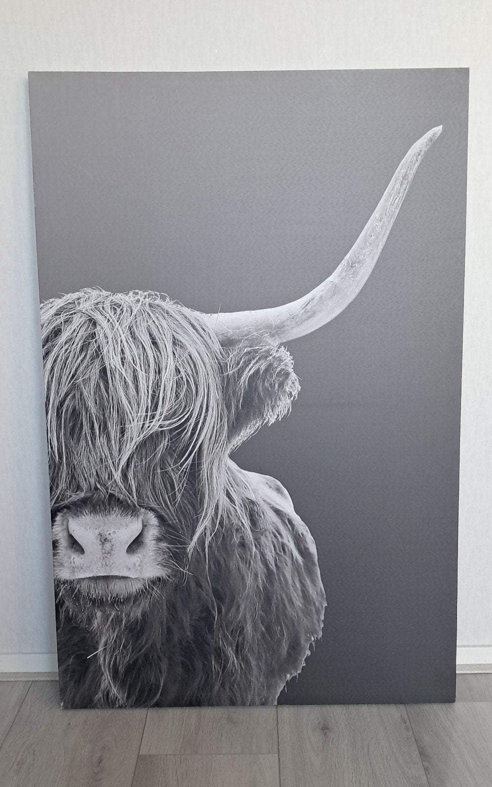 canvasdoek bizon, Ophalen, Schilderij