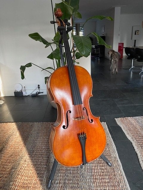 Jay Haide Vuillaume Eurowood 4/4 Cello, Muziek en Instrumenten, Ophalen, Zo goed als nieuw, 4/4-cello, Met koffer
