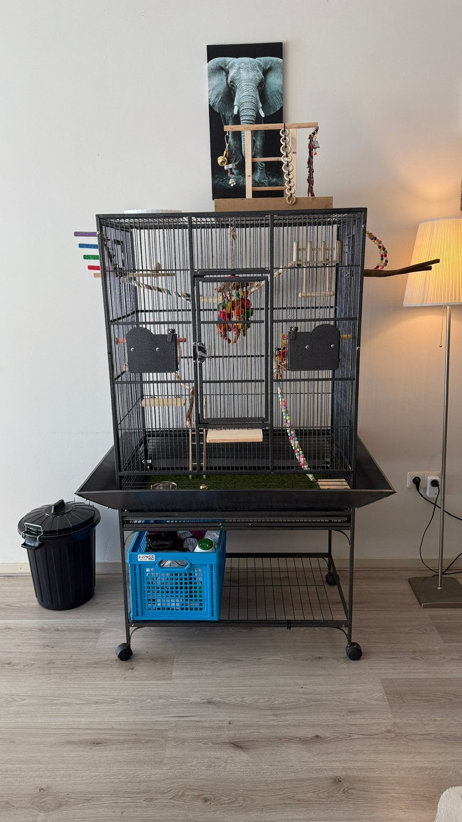 Twee jonge valkparkietjes +grote nieuwe kooi en voer te koop, Ophalen, Zo goed als nieuw, Vogelkooi