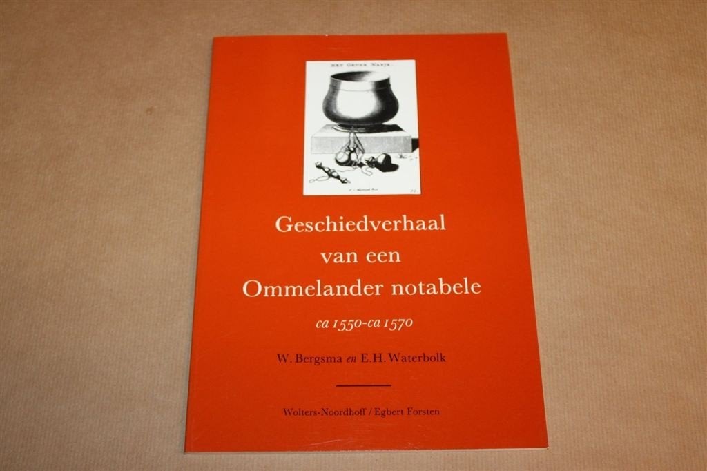 Geschiedverhaal van een Ommelander Notabele — ca 1550-1570, Ophalen of Verzenden, Zo goed als nieuw