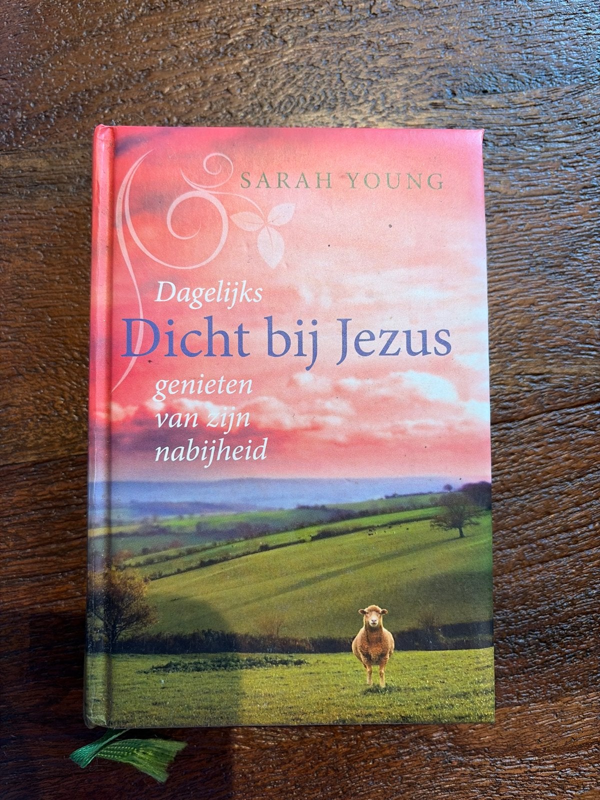 Dagelijks Dicht bij Jezus - Sarah Young, Ophalen of Verzenden, Zo goed als nieuw, Christendom | Protestants