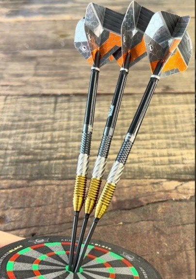 Bull's Dirk van Duijvenbode Convertible Point darts 24GR, Sport en Fitness, Ophalen of Verzenden, Zo goed als nieuw, Pijlen