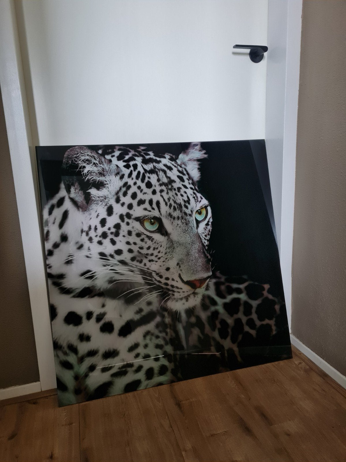 Schilderij van glas 80x80cm - Luipaard Panter Cheetah, Antiek en Kunst, Kunst | Schilderijen | Modern, Ophalen
