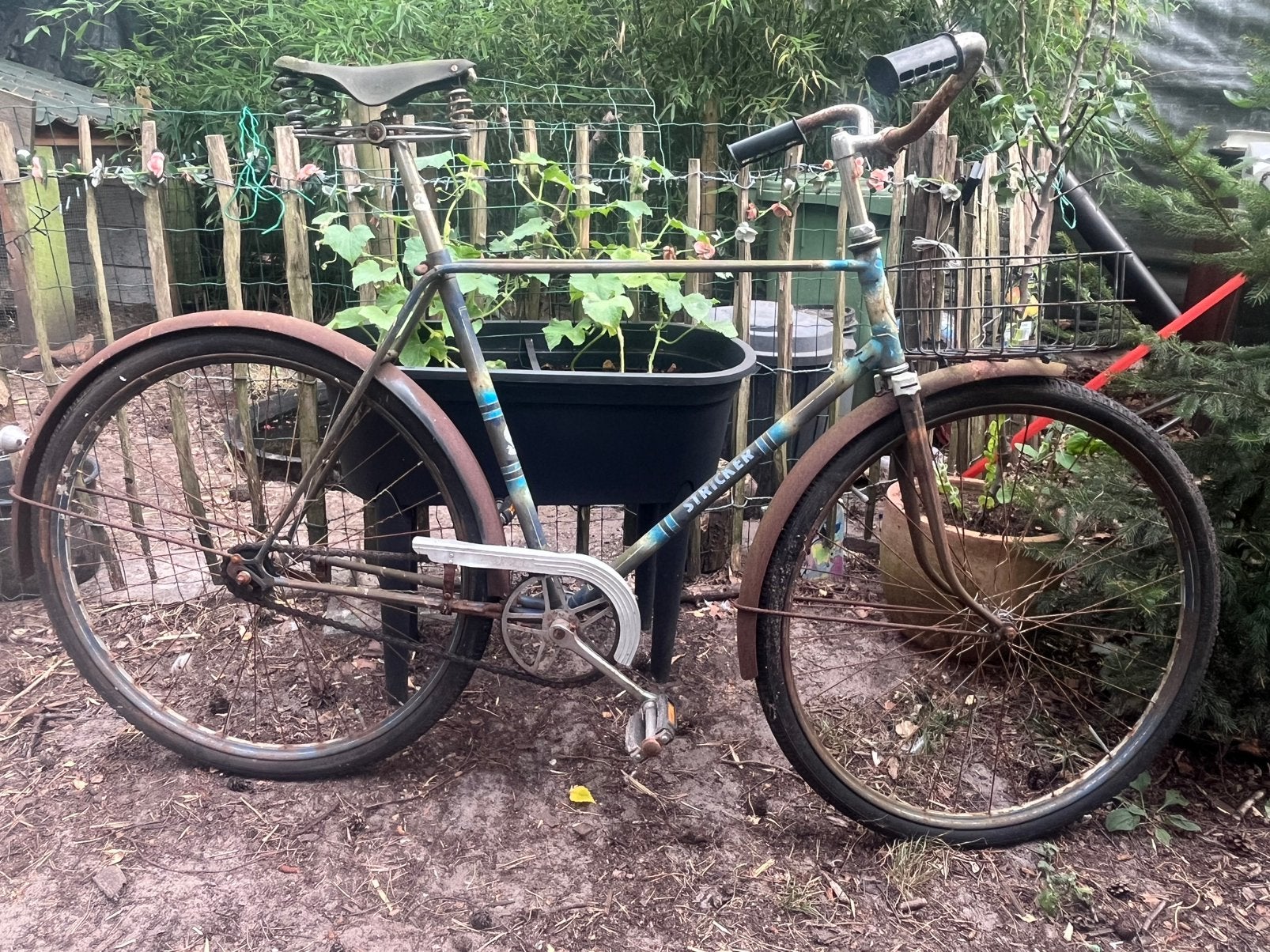 Stricker Bielefeld, Fietsen en Brommers, Fietsen | Oldtimers, 55 tot 59 cm, Ophalen, Terugtraprem, Jaren '50
