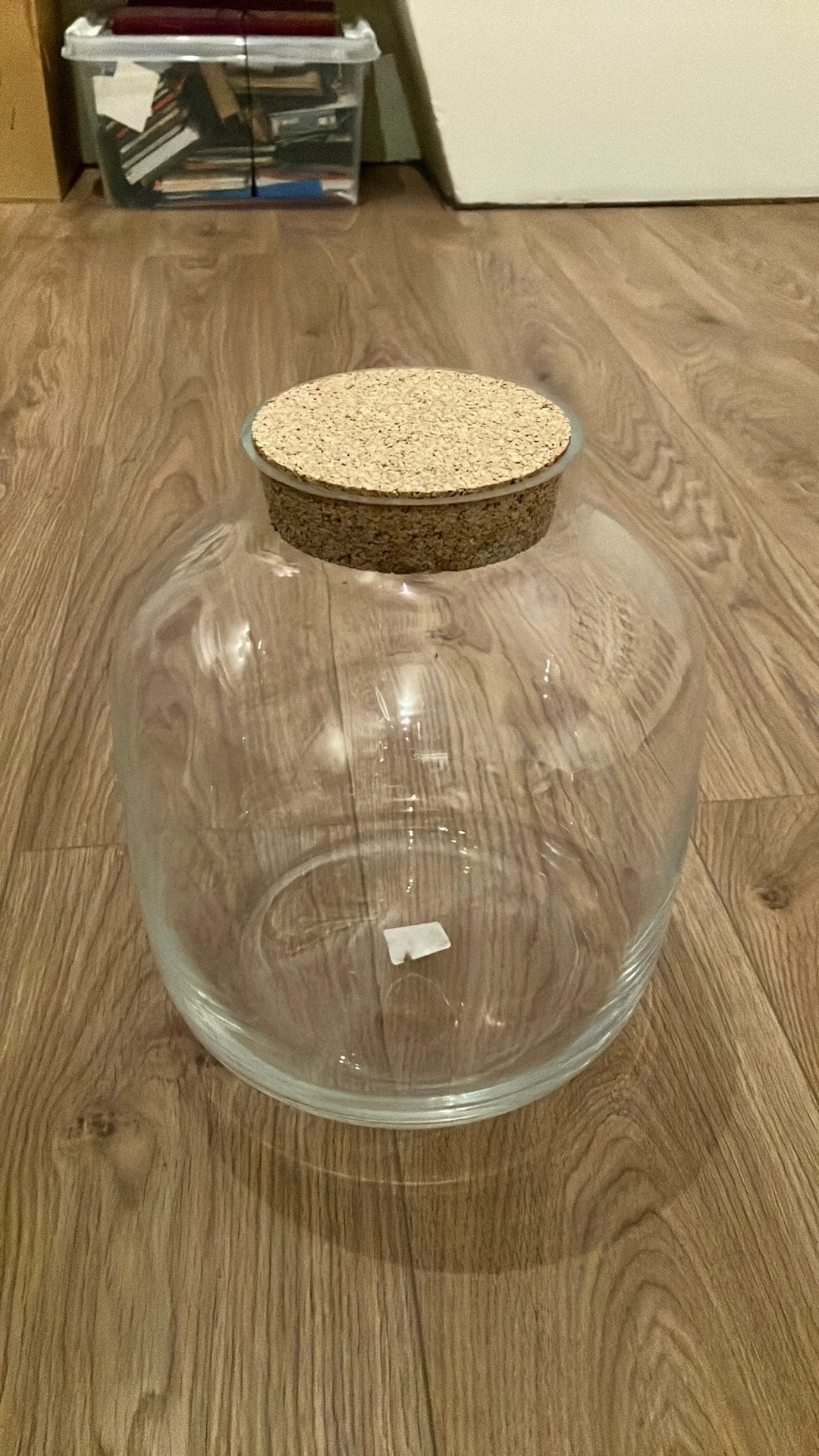Plantenterrarium met kurken deksel, Ophalen, 25 cm, Zo goed als nieuw, Glas