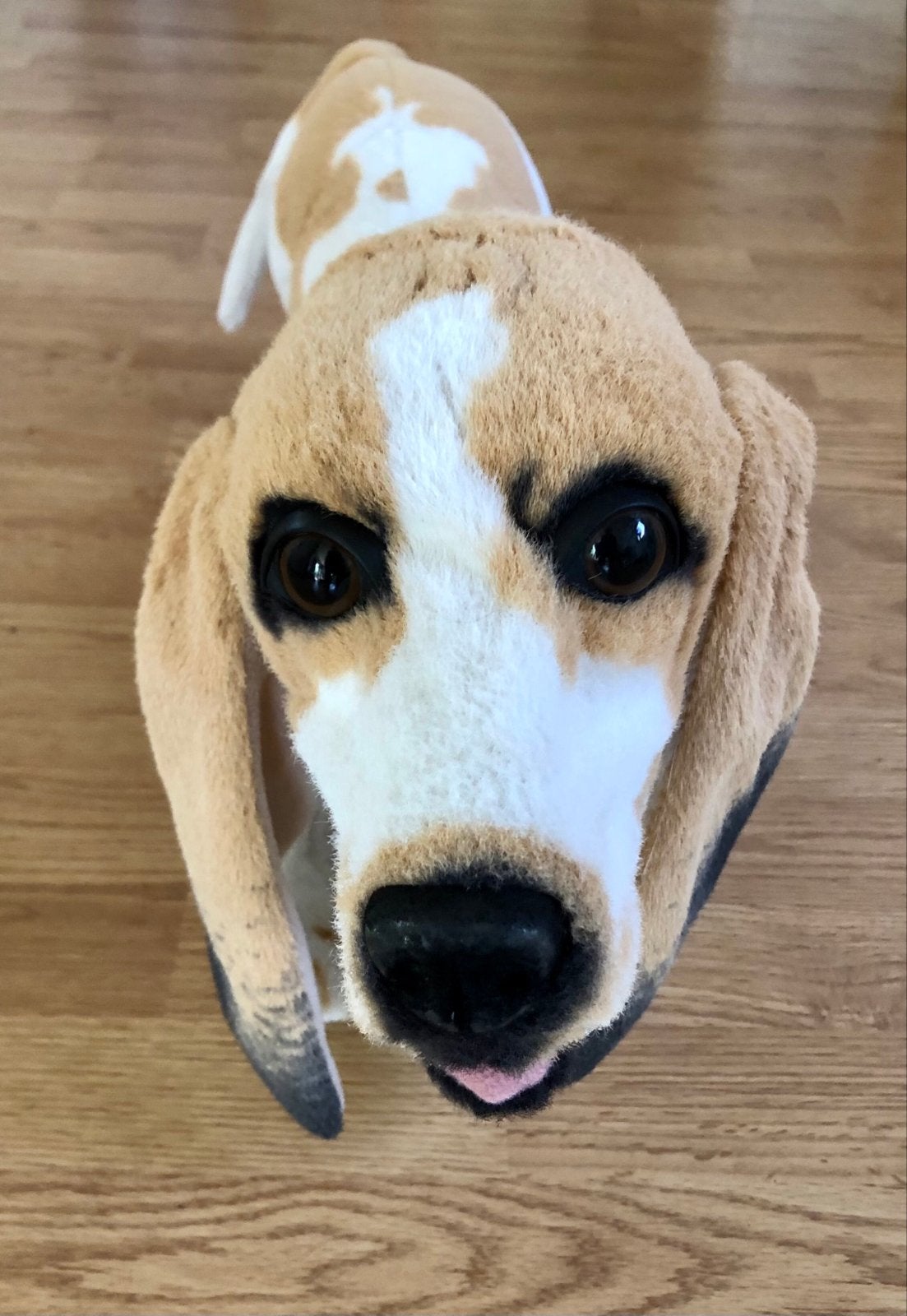 Realistisch Basset Hound Knuffeldier - Zo goed als nieuw, Overige merken, Overige karakters, Zo goed als nieuw, Middelgroot (20 tot 80 cm)